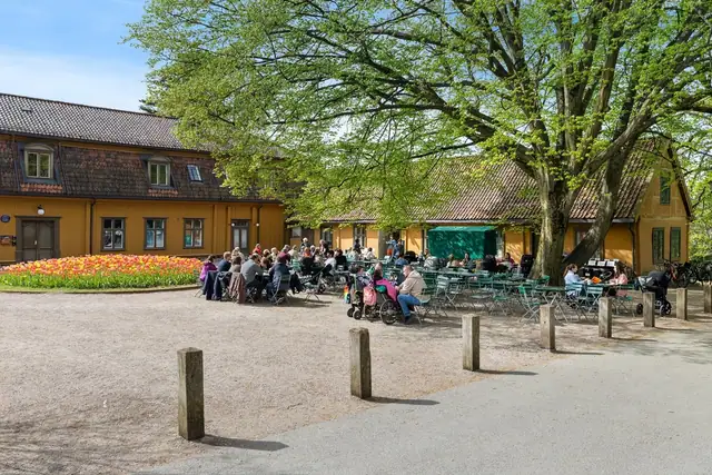 Områdebilde.