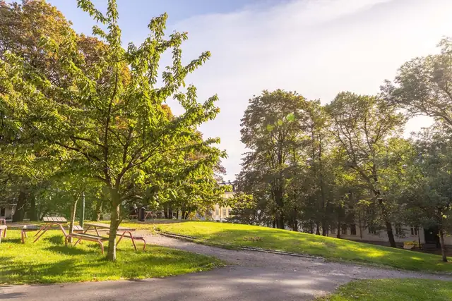 Rett utenfor døren er Ankerhagen. En koselig park som aldri er overfylt av mennesker, men omringet av flott og skjønn natur.